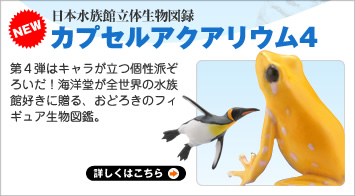 ���{�����ٗ��̐����}�^ �J�v�Z���A�N�A���E��4