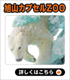 ���R�J�v�Z��ZOO