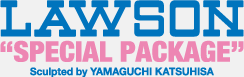 LAWSON"SPECIAL PACKAGE"