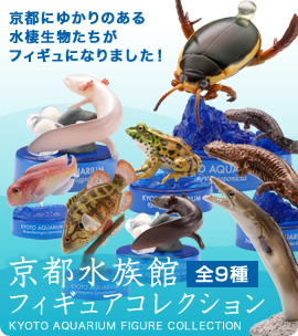 京都水族館