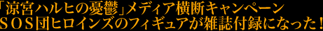 u{nq̗JTvfBAfLy[ rnrcqCỸtBMAGt^ɂȂI