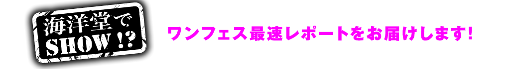 海洋堂でSHOW!?ワンフェス最速レポートをお届けします！