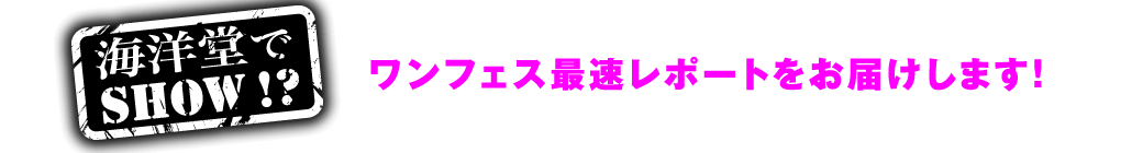海洋堂でSHOW!?ワンフェス最速レポートをお届けします！